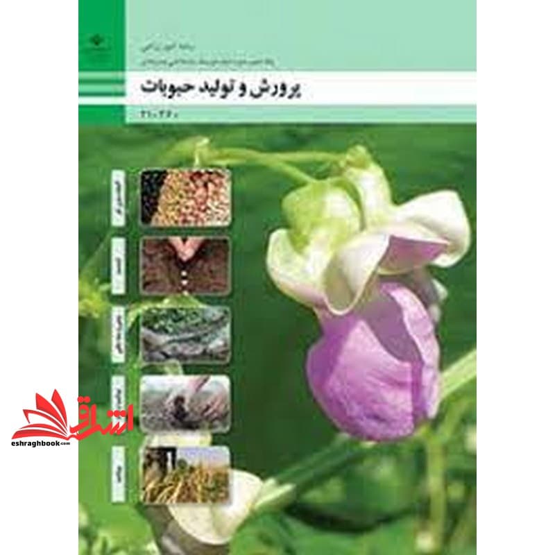 *پرینت سیاه و سفید* حیطه تخصصی آزمون استخدامی آموزش و پرورش عنوان شغل حیطه تخصصی هنرآموز امور زراعی و باغی شایستگی های فنی کارگاهی امور زراعی پرورش و تولید حبوبات