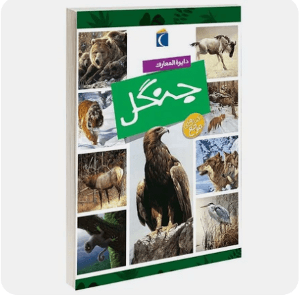 کتاب دایرة المعارف جنگل برای کودک و نوجوان نوشته ماری و رنه پیمون انتشار محراب قلم