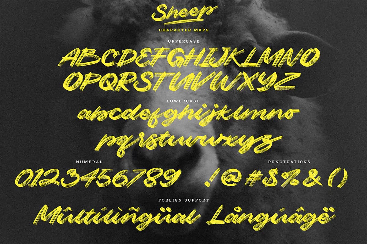 فونت سبک قلمو Sheep (براش فونت) — تصویر ۸
