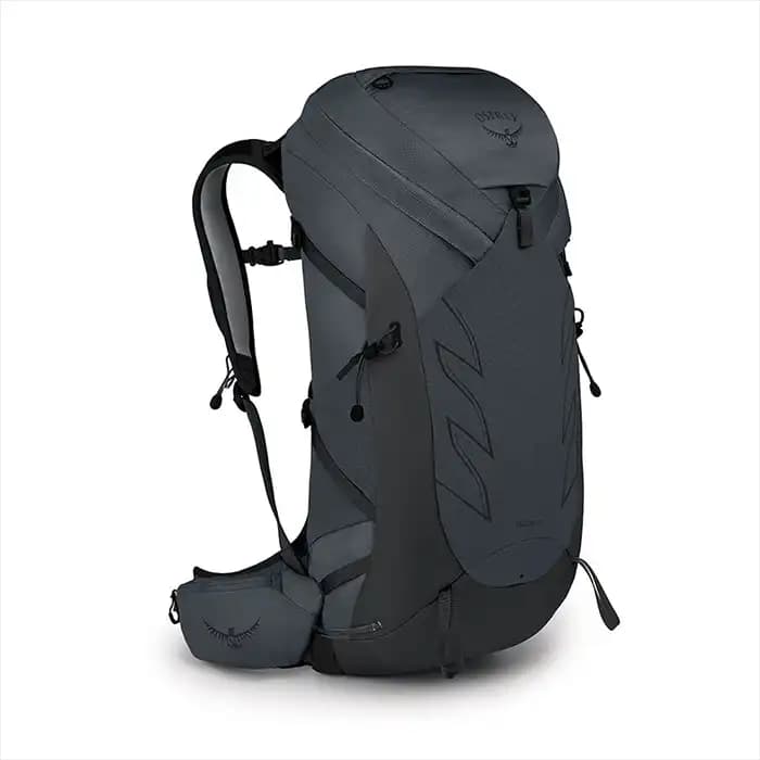 کوله پشتی کوهنوردی آسپری مدل Osprey Talon 36 — تصویر ۳