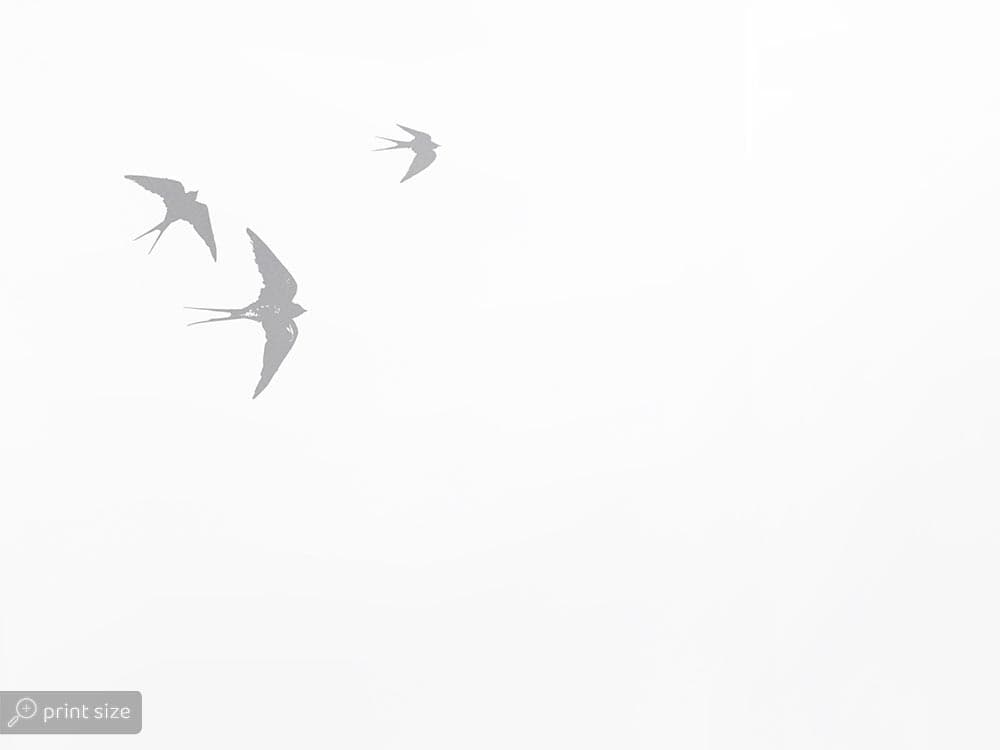 کاغذ دیواری منظره کوه W10212700 — تصویر ۴
