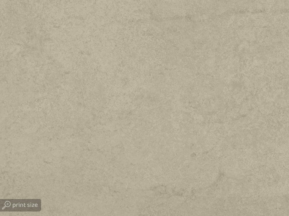 پوستر دیواری طرح کاکتوس W10195400 — تصویر ۴