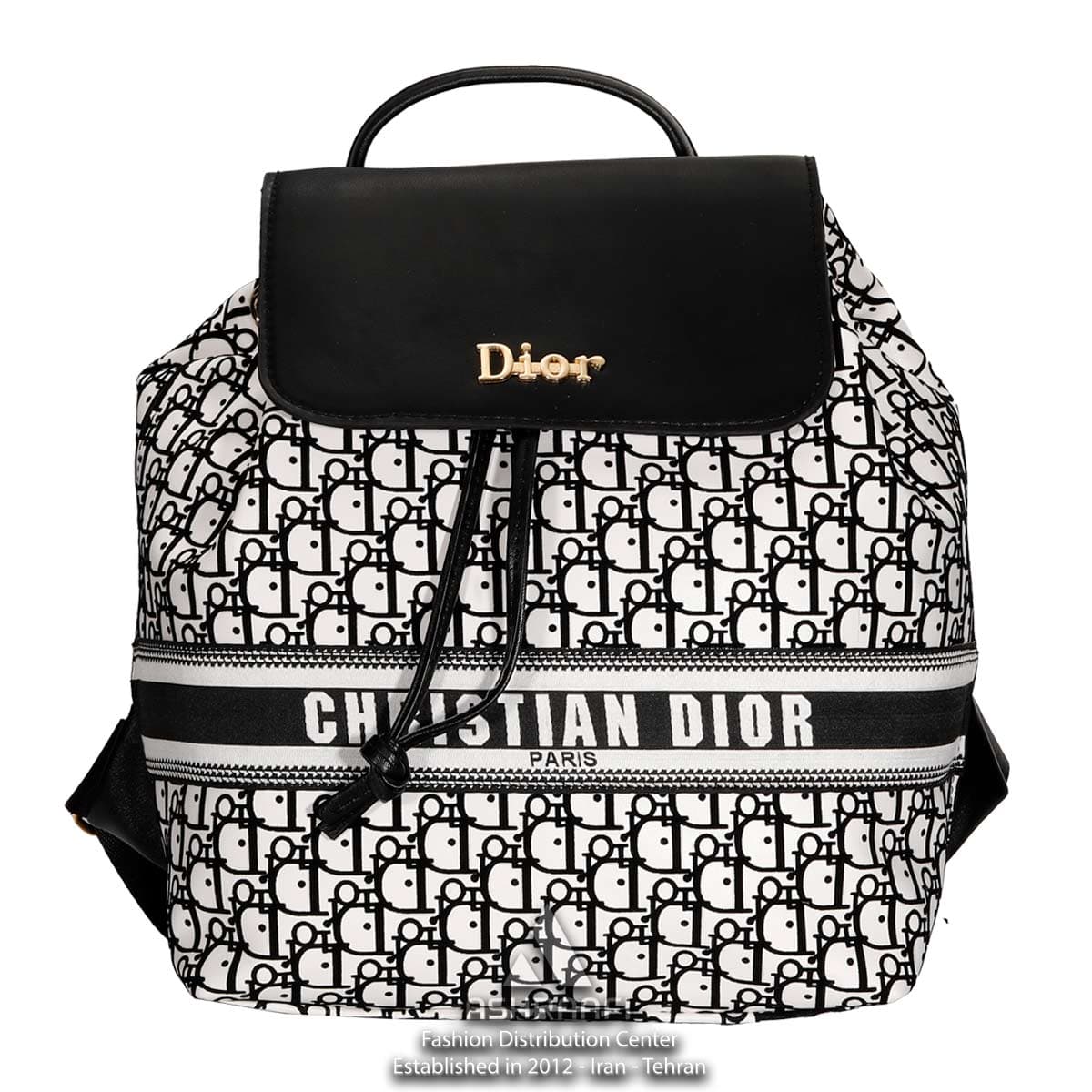 کوله پشتی طرح دار دیور Dior Backpack A02