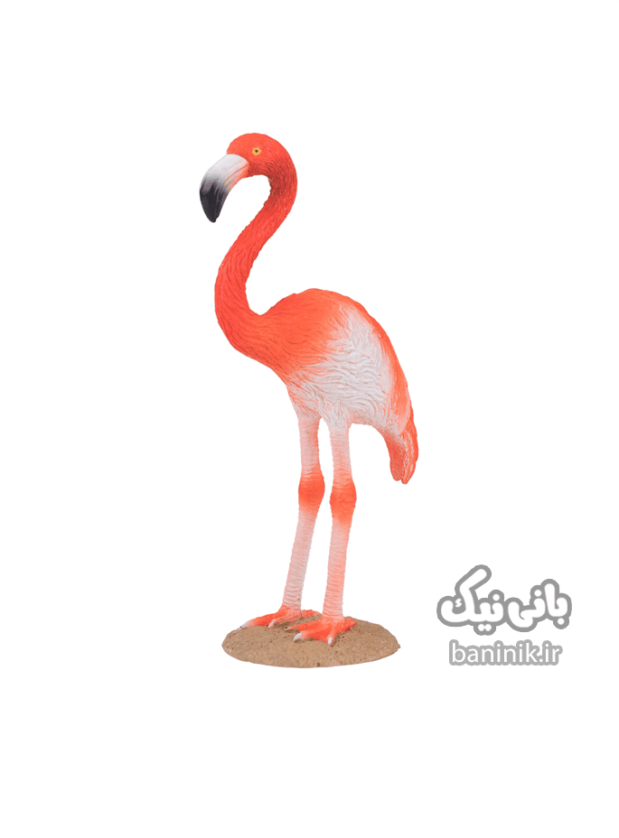 فیگور موجو سری فلامینگو آمریکایی Mojo American Flamingo Figure — تصویر ۵
