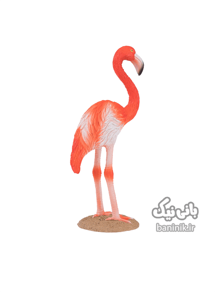 فیگور موجو سری فلامینگو آمریکایی Mojo American Flamingo Figure — تصویر ۳
