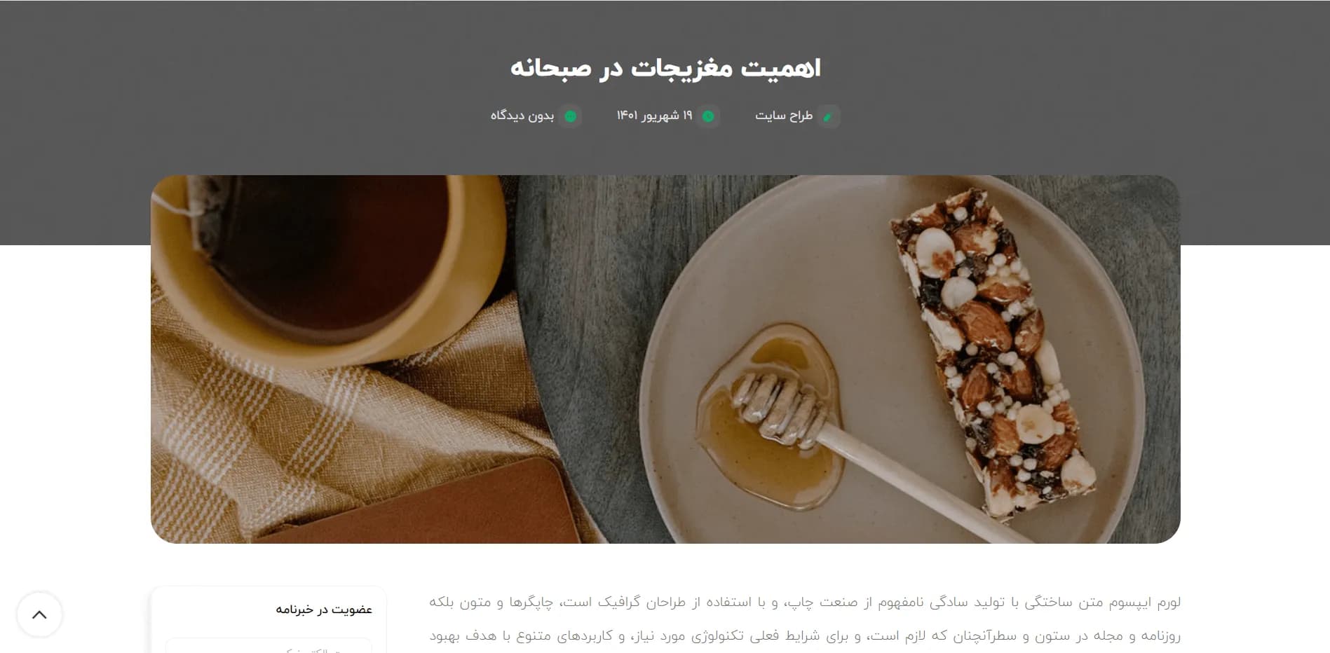 طراحی سایت آجیل و خشکبار — تصویر ۷
