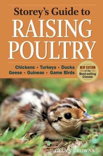 و دانلود نسخه کامل کتاب زبان اصلی Storey’s Guide to Raising Poultry, 4th Edition: Chickens, Turkeys, Ducks, Geese, Guineas, Game Birds (Storey’s Guide to Raising) 4th Edition PDF | دانلود ک