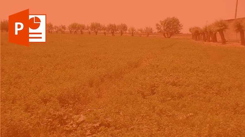 و دانلود پاورپوینت یونجه