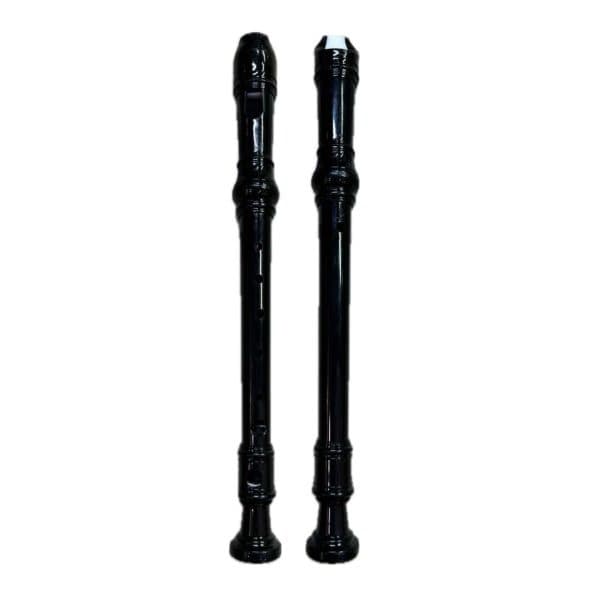 فلوت رکوردر 6 حفره سوان SWAN FLUTE RECORDER — تصویر ۲