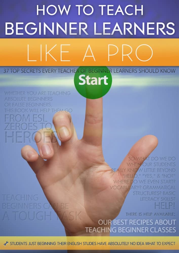 کتاب How to Teach Beginner Learners Like a Pro (چگونه به زبان‌آموزان مبتدی مانند یک حرفه‌ای آموزش دهیم) نسخه انگلیسی PDF
