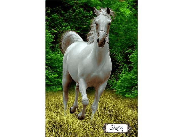 نخ و نقشه کامپیوتری تابلو فرش طرح اسب – کد NH3519