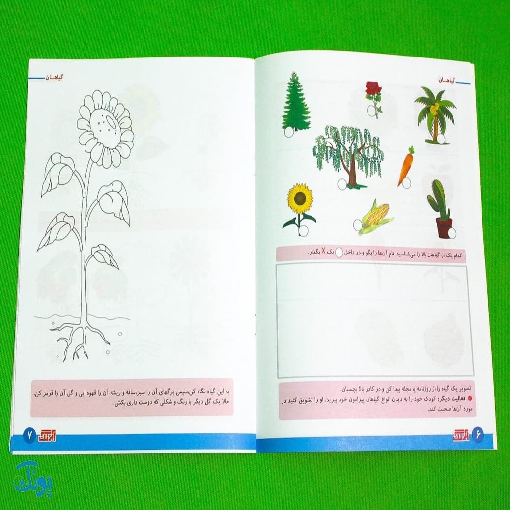 مجموعه ۵ جلدی علوم پیش دبستان (بدن من، جانوران، گیاهان، علوم فیزیکی، زمین) — تصویر ۴