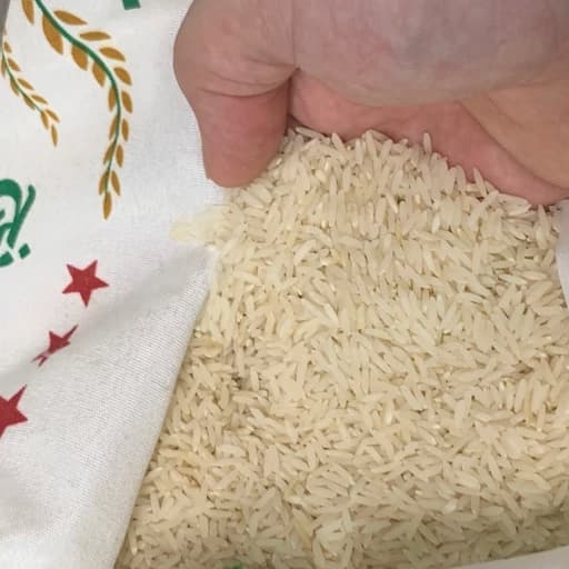 برنج طارم هاشمی محلی فریدونکنار درجه یک امساله