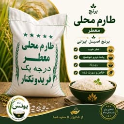 برنج طارم محلی فریدونکنار معطر و اعلا(500کیلویی) — تصویر ۲