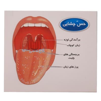 فلش کارت به آموز آشنایی با مفاهیم علوم ۳ — تصویر ۶