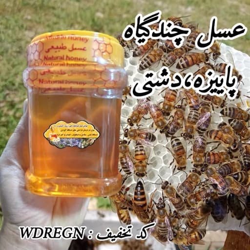 عسل چندگیاه پاییزه فریدن 1 کیلویی ساده و موم دار.دشتی (خرید مستقیم از زنبوردار)ارسال رایگان با 2 میلیون خرید از غرفه