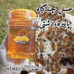 عسل چندگیاه پاییزه فریدن 1 کیلویی ساده و موم دار.دشتی (خرید مستقیم از زنبوردار)ارسال رایگان با 2 میلیون خرید از غرفه — تصویر ۲