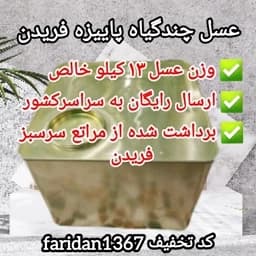 عسل چندگیاه پاییزه فریدن فله نیم حلب 13/500کیلویی اصل(ارسال رایگان) — تصویر ۲