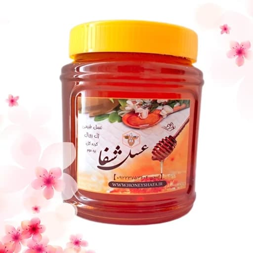 عسل دیابتی و درمانی چند گیاه کوهی (100درصد طبیعی، برداشت پارسال)