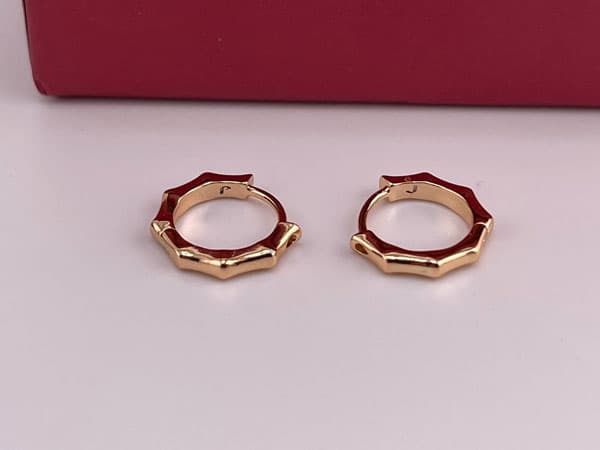 گوشواره طرح استخوانی ژوپینگ — تصویر ۴