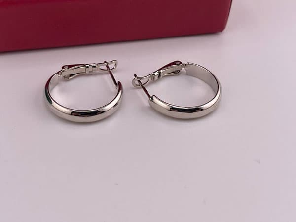 گوشواره ژوپینگ حلقه ای ساده و خاص — تصویر ۴