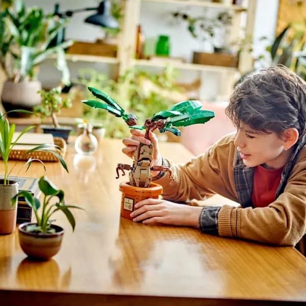 لگو Harry Potter مدل Mandrake 76433 — تصویر ۷