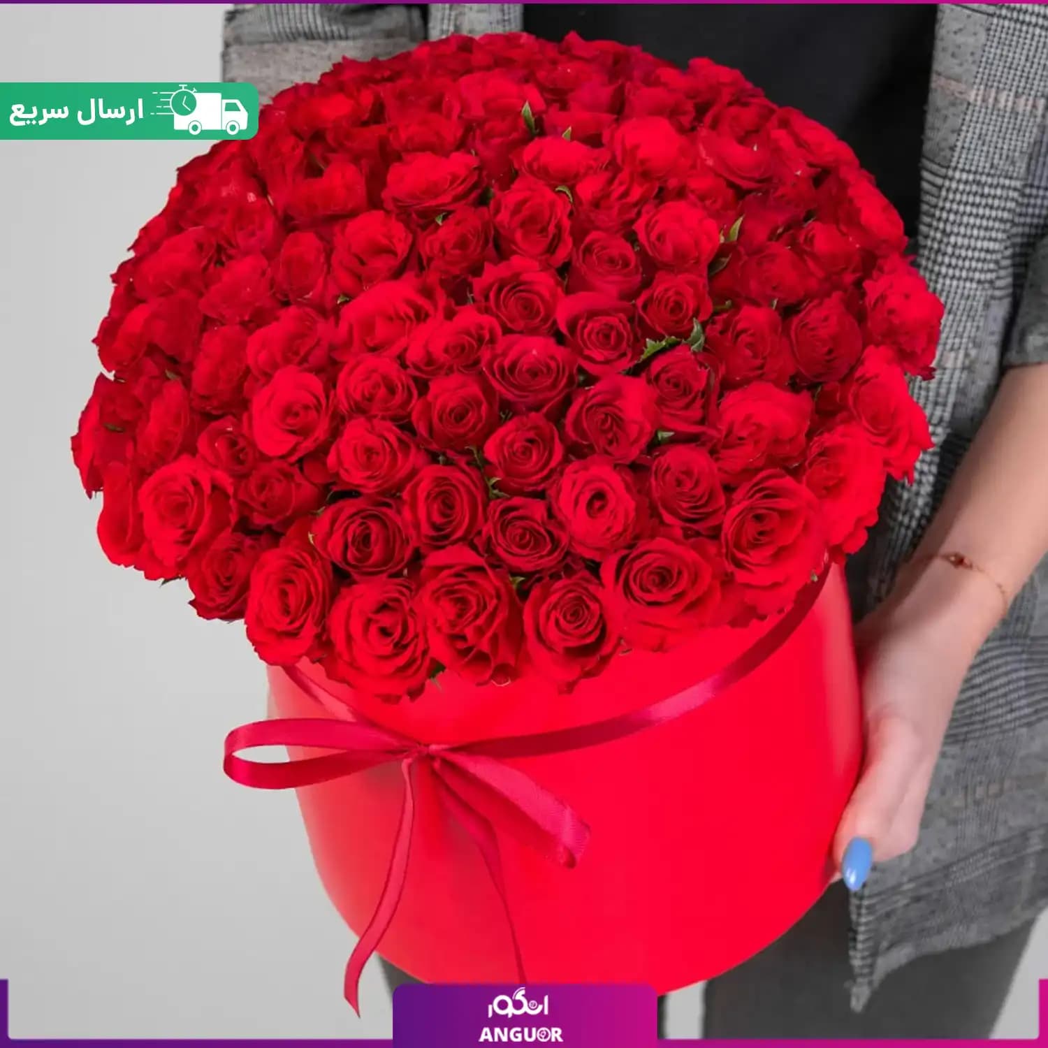 باکس گل 100 شاخه رز قرمز (رز هلندی)