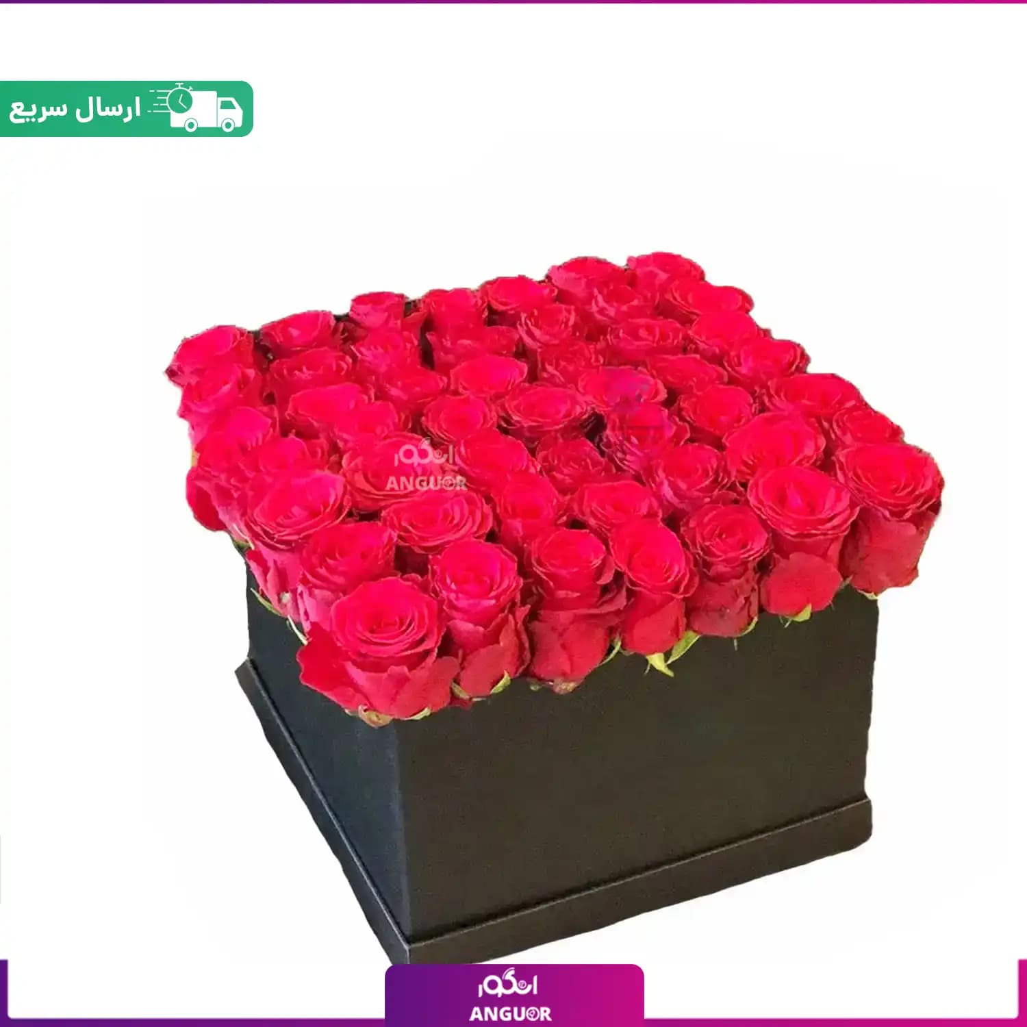 باکس گل 49 شاخه رز قرمز ممتاز (رز هلندی)