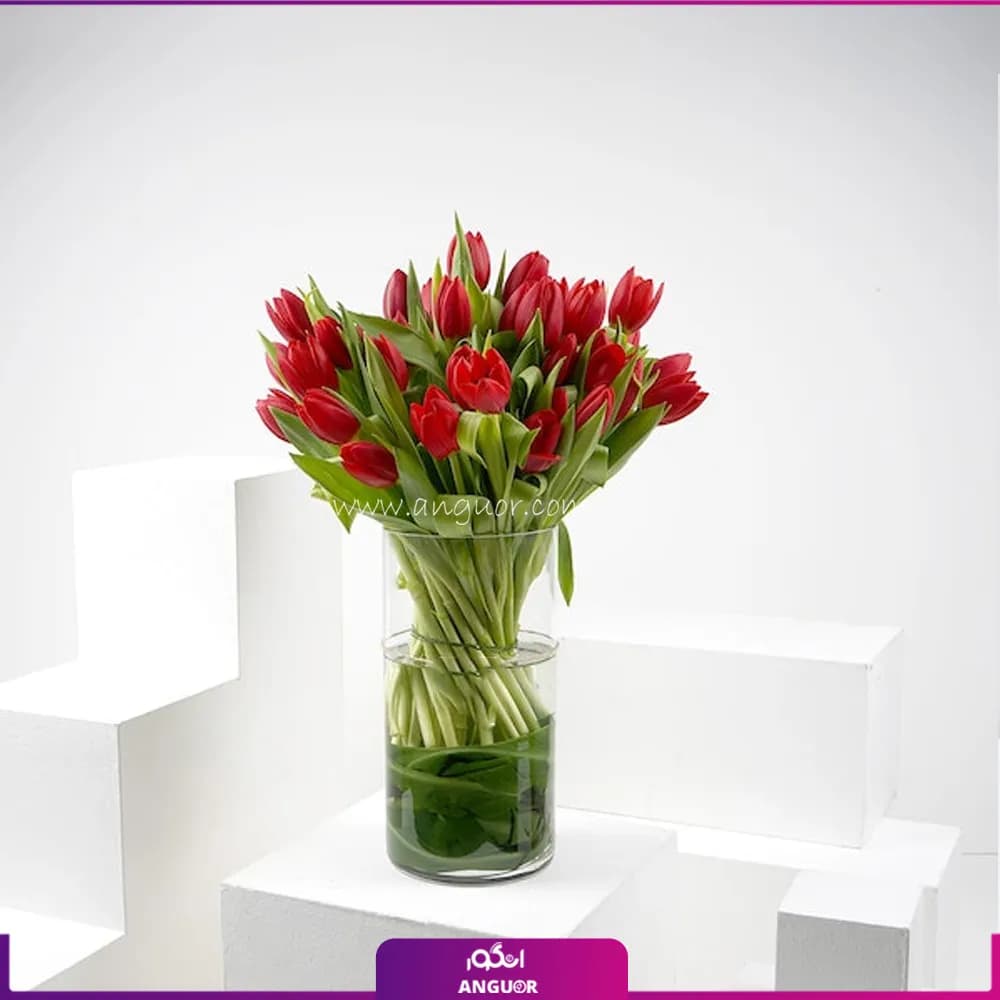 دسته گل لاله قرمز با گلدان شیشه ای (26 شاخه)