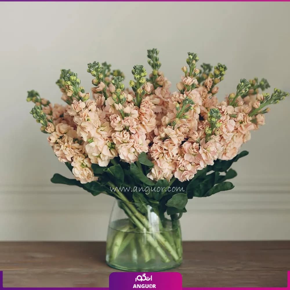 دسته گل 20 شاخه شب بو با گلدان شیشه ای