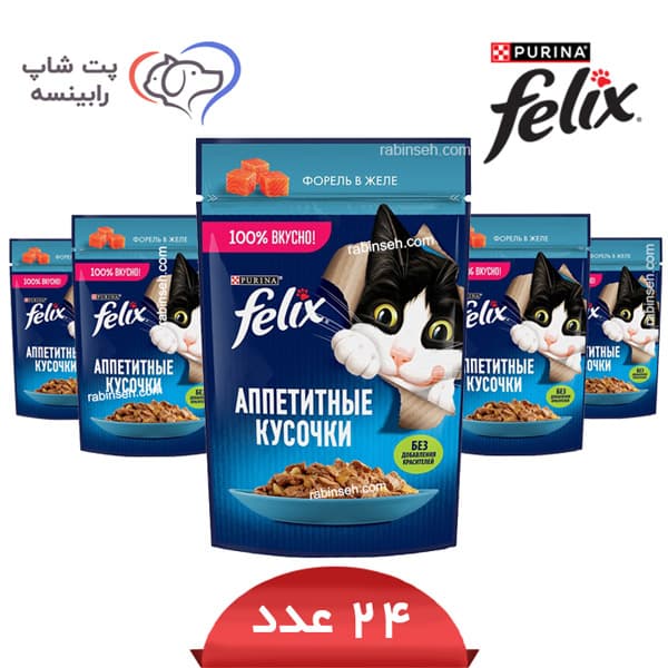 پوچ گربه فلیکس تن در ژله پک 24 عددی – روسیه