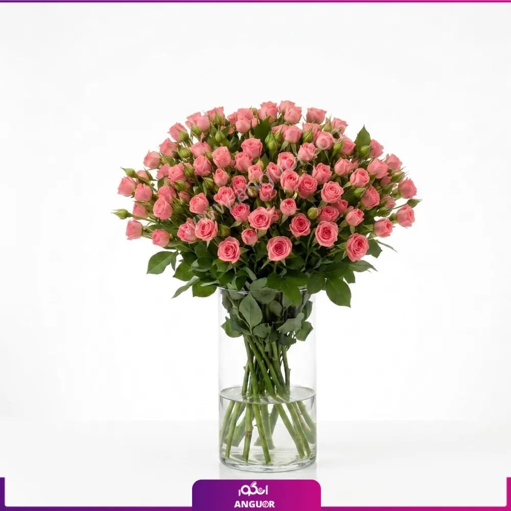 جار گل رز مینیاتوری صورتی 21 شاخه ای