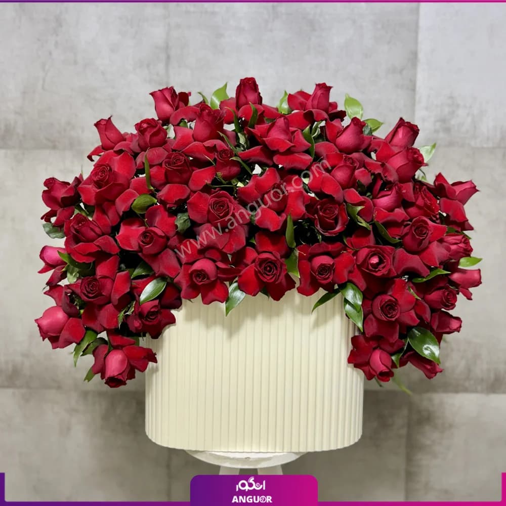 باکس گل رز قرمز 44 شاخه ای