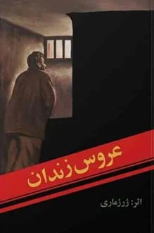 کتاب عروس زندان – نویسنده ژول ماری