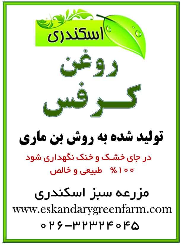 روغن کرفس خالص — تصویر ۲
