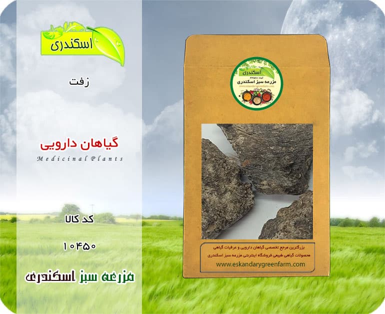 گیاه دارویی زفت اصل