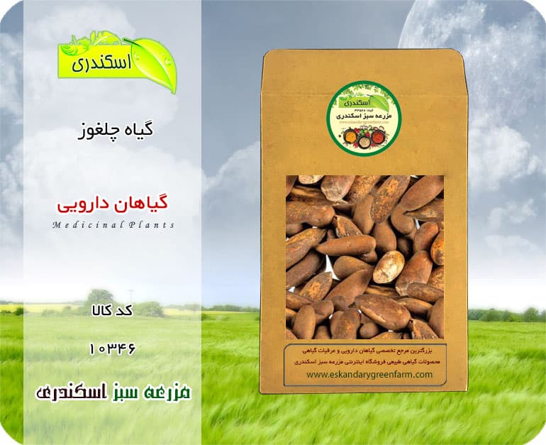 گیاه چلغوز