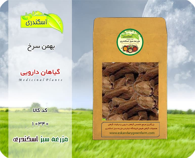 گیاه بهمن سرخ