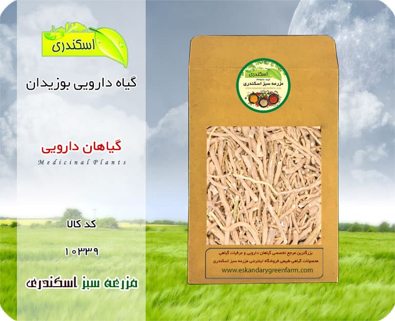 گیاه دارویی بوزیدان