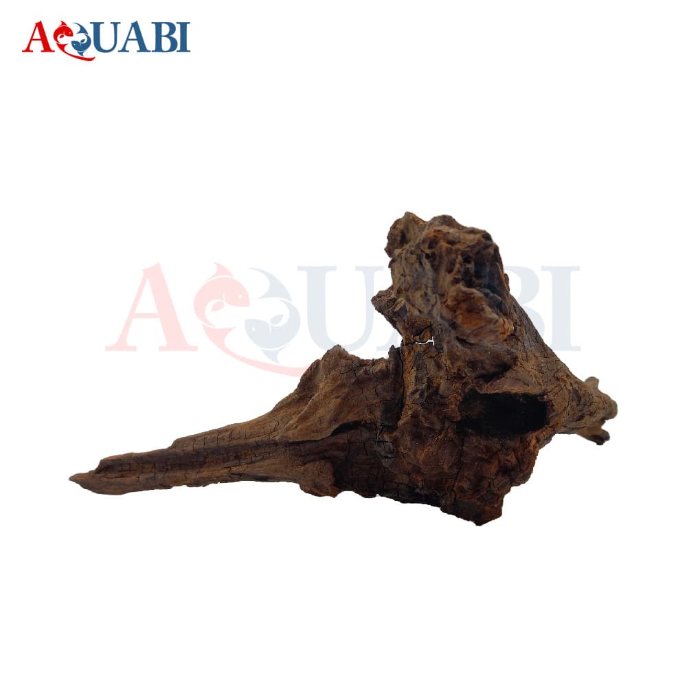 تنه چوب آبنوس AB-73 — تصویر ۴