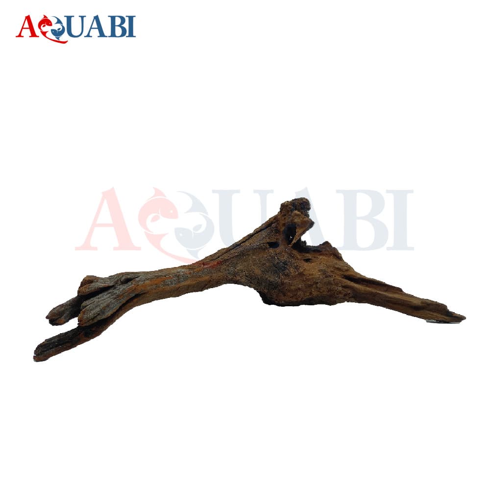 تنه چوب آبنوس AB-73 — تصویر ۲