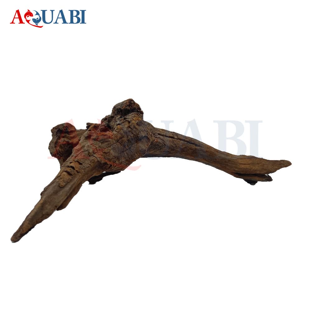 تنه چوب آبنوس AB-73 — تصویر ۳