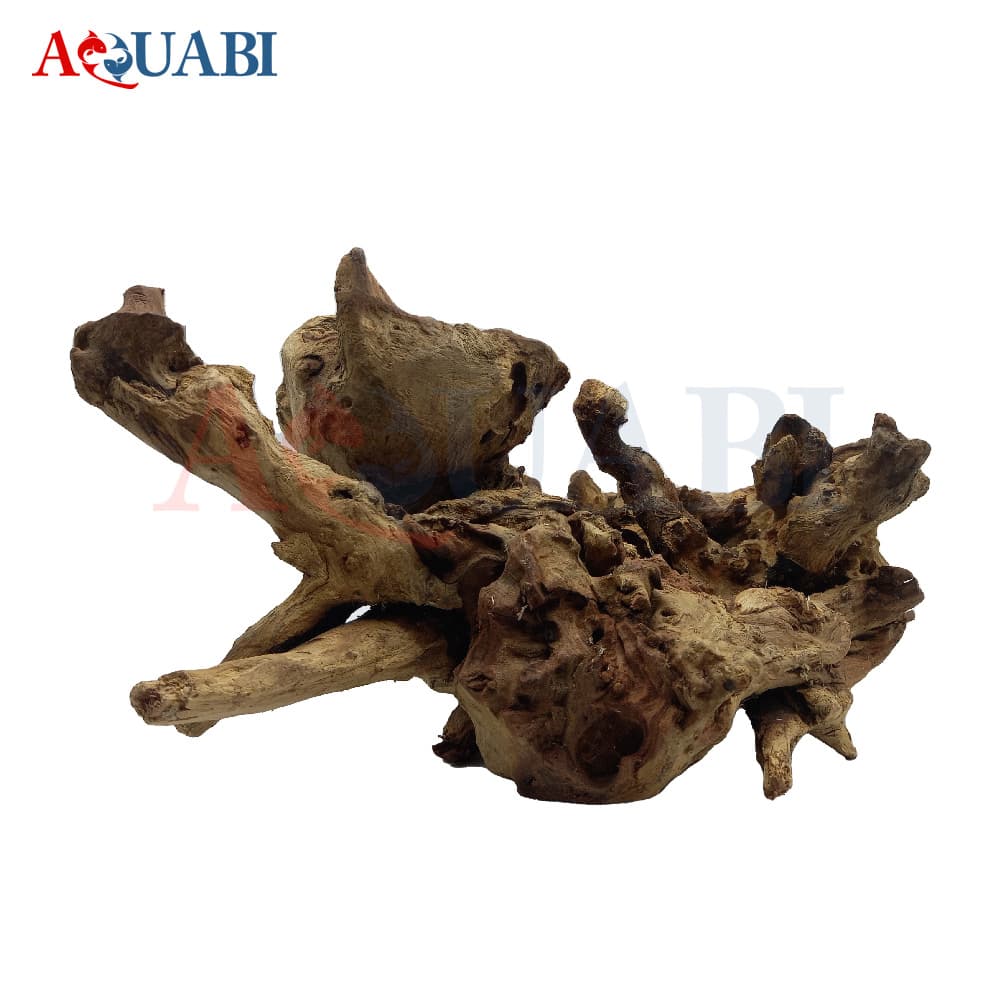 تنه چوب آبنوس AB-72 — تصویر ۷