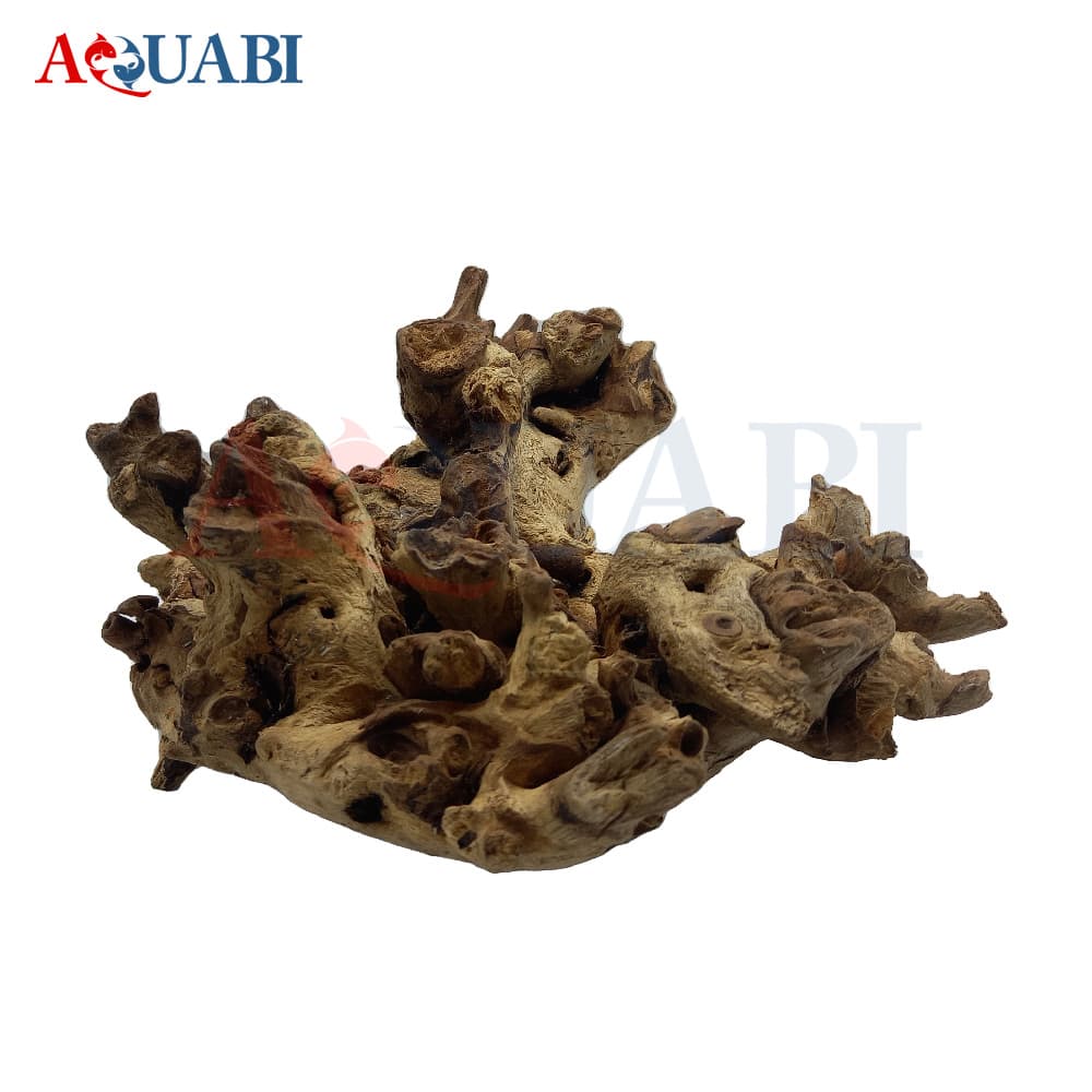 تنه چوب آبنوس AB-72 — تصویر ۴