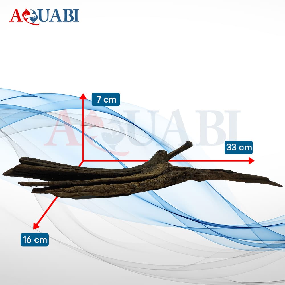 تنه چوب آبنوس AB-70