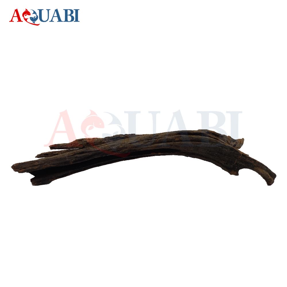 تنه چوب آبنوس AB-70 — تصویر ۲