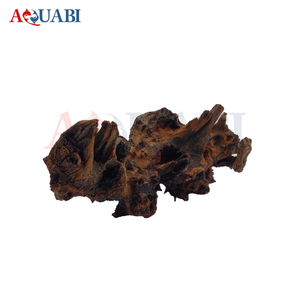 تنه چوب آبنوس AB-63 — تصویر ۲