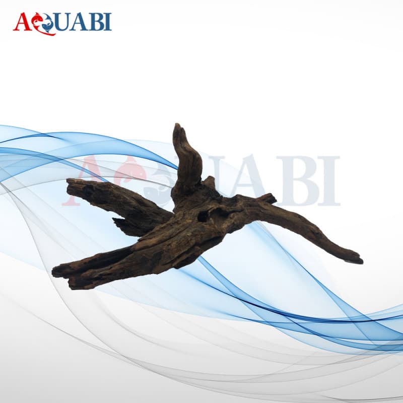 تنه چوب آبنوس AB-57 — تصویر ۴