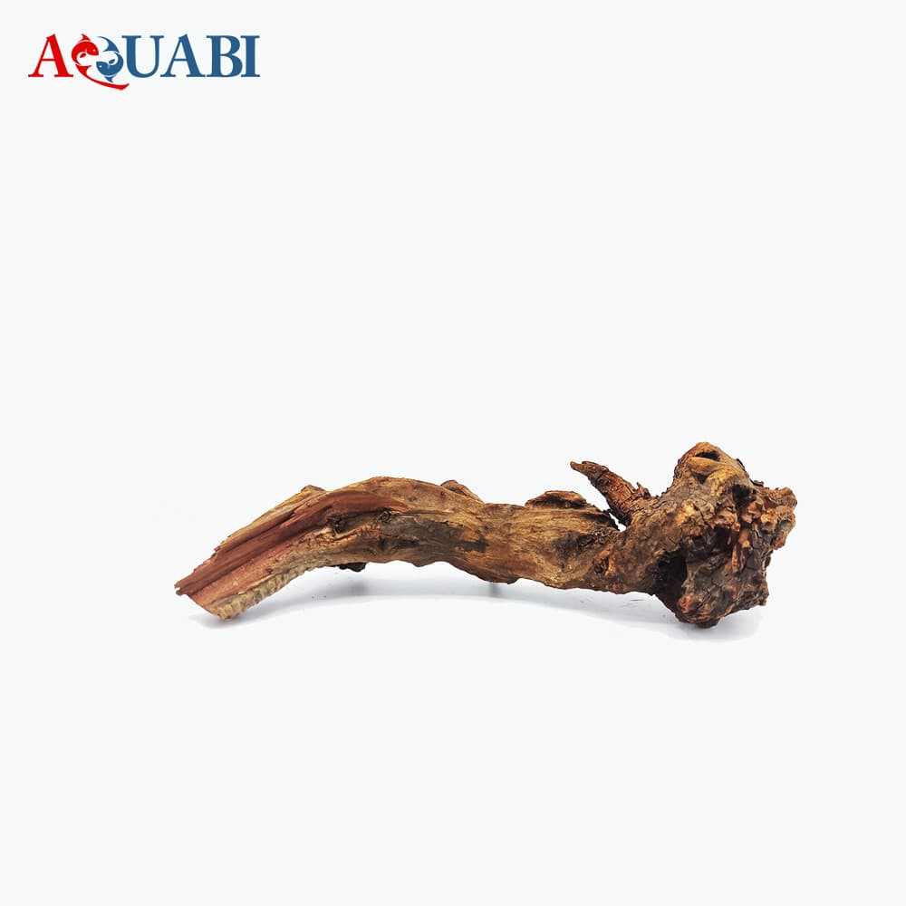 تنه چوب آبنوس AB-47
