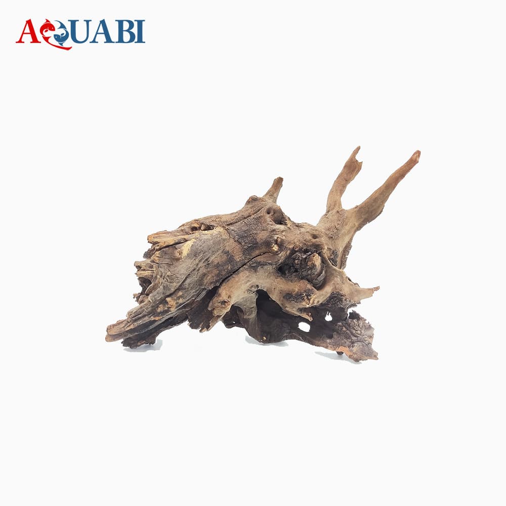 تنه چوب آبنوس AB-41